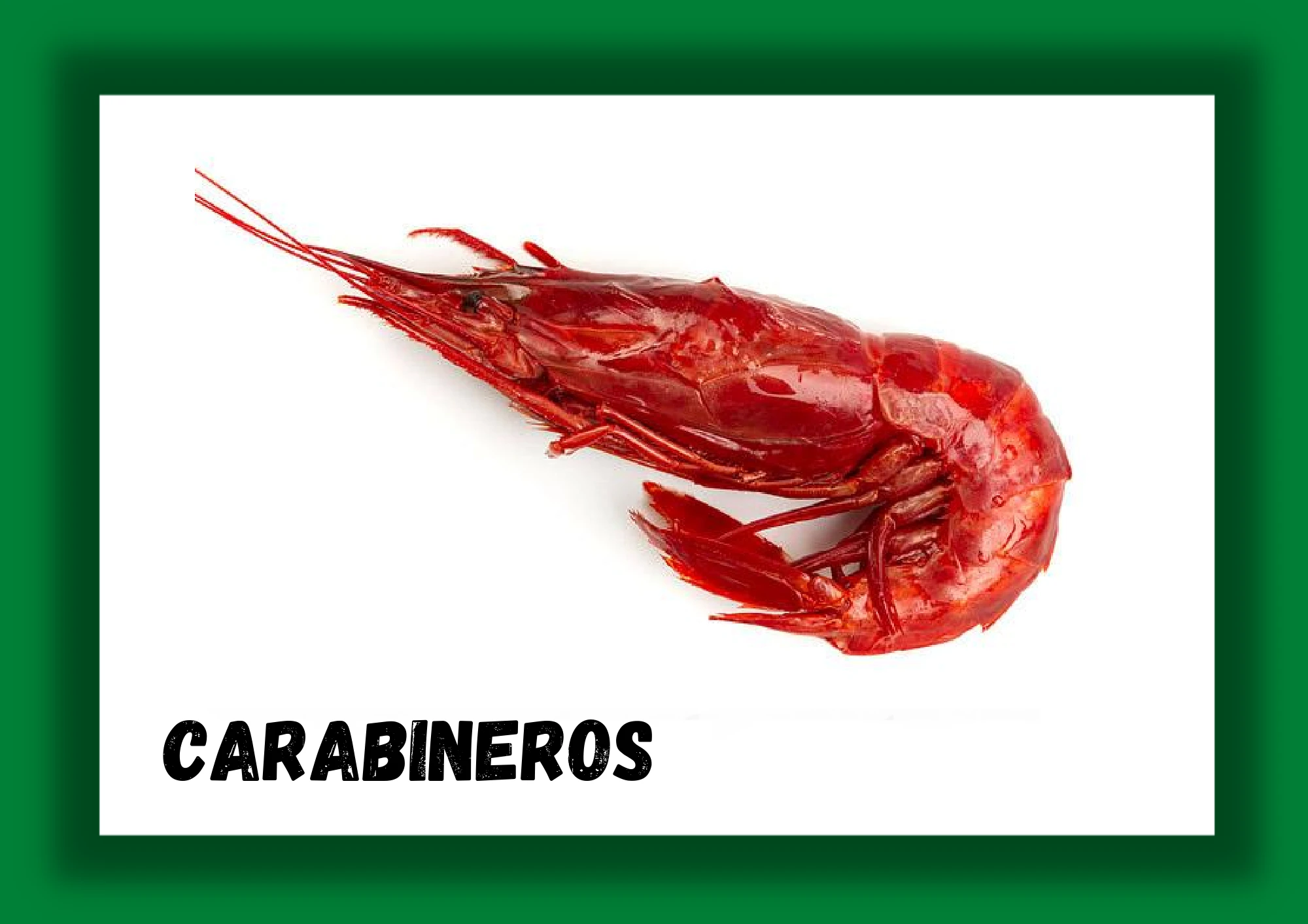 Carabineros