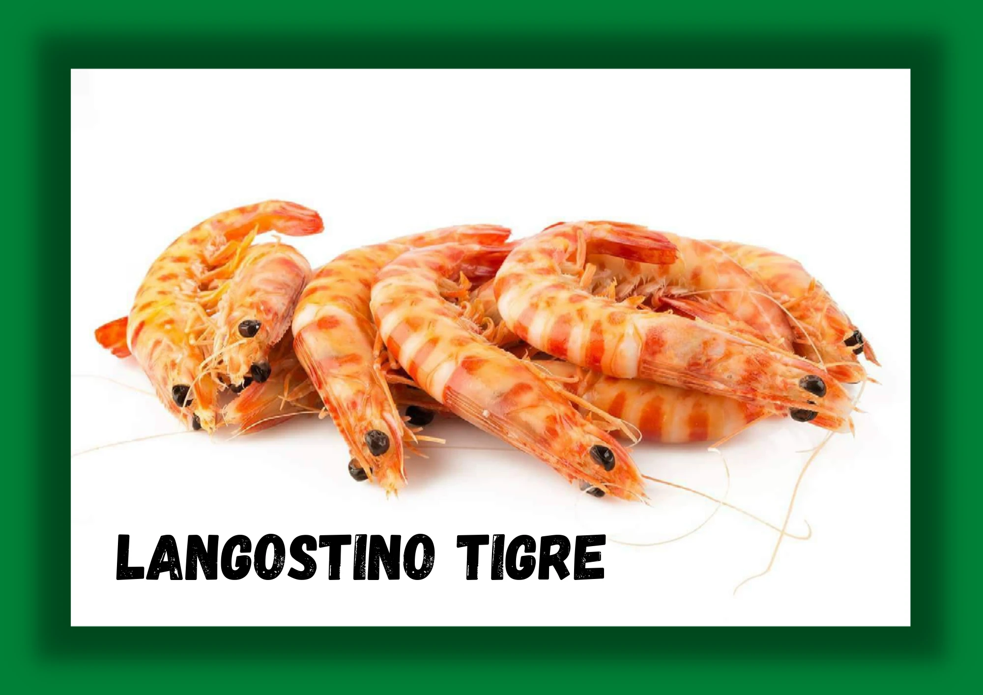 Langostino tigre