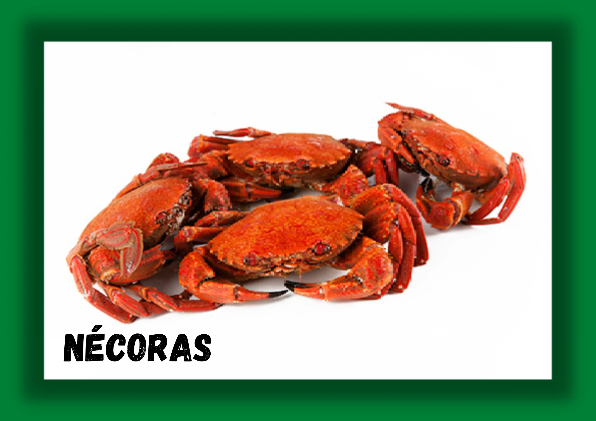 Nécoras